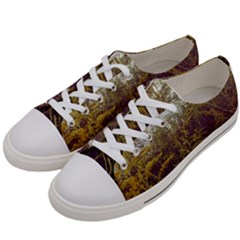 Purple And Yellow Goldenrod Women s Low Top Canvas Sneakers by okhismakingart