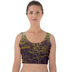 Purple And Yellow Goldenrod Velvet Crop Top