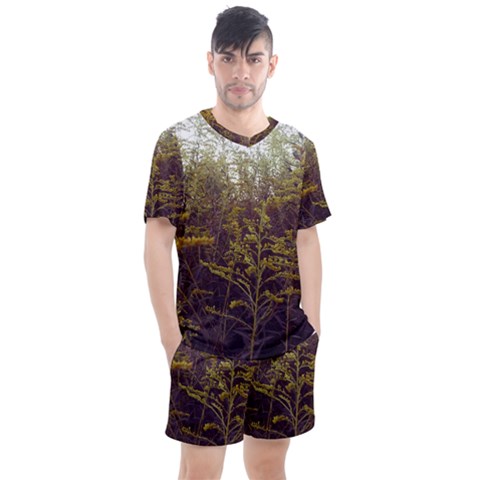 Purple And Yellow Goldenrod Men s Mesh Tee And Shorts Set by okhismakingart