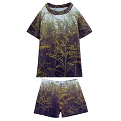 Purple And Yellow Goldenrod Kids  Swim Tee And Shorts Set