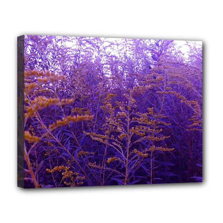 Yellow and Blue Goldenrod Canvas 14  x 11  (Stretched)