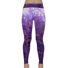 Yellow And Blue Goldenrod Classic Yoga Leggings by okhismakingart