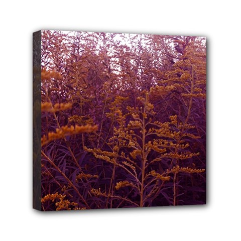 Red And Yellow Goldenrod Mini Canvas 6  X 6  (stretched) by okhismakingart