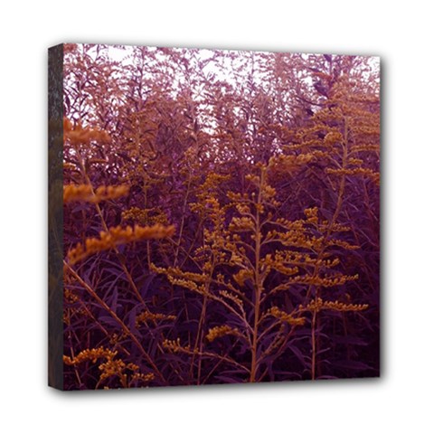 Red And Yellow Goldenrod Mini Canvas 8  X 8  (stretched) by okhismakingart