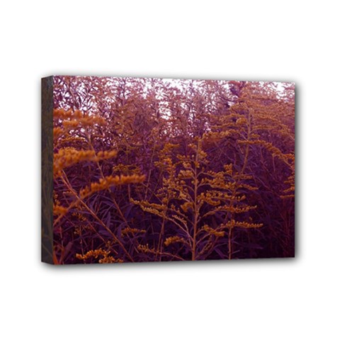 Red And Yellow Goldenrod Mini Canvas 7  X 5  (stretched) by okhismakingart