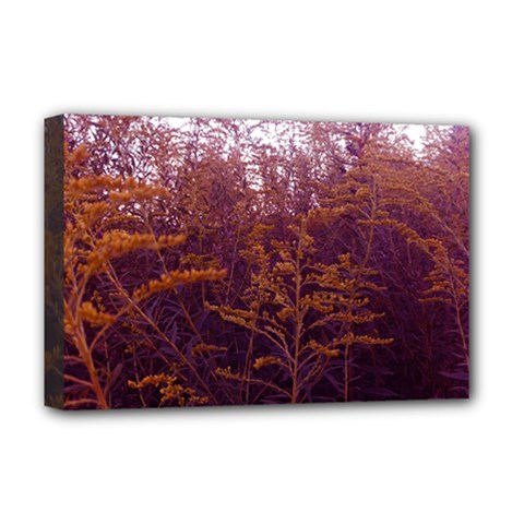 Red And Yellow Goldenrod Deluxe Canvas 18  X 12  (stretched) by okhismakingart