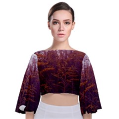 Red And Yellow Goldenrod Tie Back Butterfly Sleeve Chiffon Top