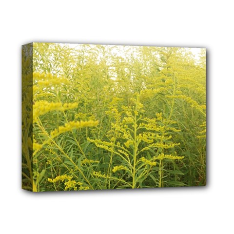 Yellow Goldenrod Deluxe Canvas 14  X 11  (stretched) by okhismakingart