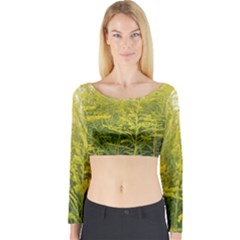 Yellow Goldenrod Long Sleeve Crop Top by okhismakingart