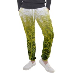 Yellow Goldenrod Men s Jogger Sweatpants