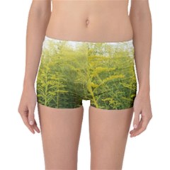 Yellow Goldenrod Boyleg Bikini Bottoms by okhismakingart