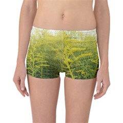 Yellow Goldenrod Reversible Boyleg Bikini Bottoms by okhismakingart