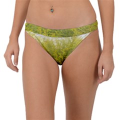 Yellow Goldenrod Band Bikini Bottom