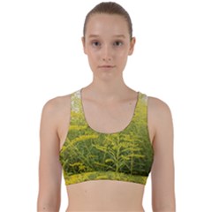 Yellow Goldenrod Back Weave Sports Bra by okhismakingart