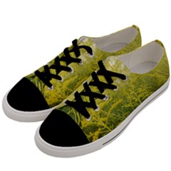 Yellow Goldenrod Men s Low Top Canvas Sneakers by okhismakingart