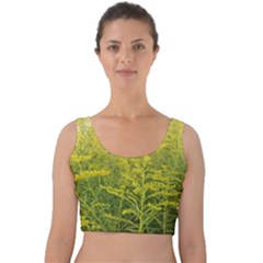 Yellow Goldenrod Velvet Crop Top by okhismakingart