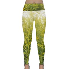 Yellow Goldenrod Lightweight Velour Classic Yoga Leggings by okhismakingart