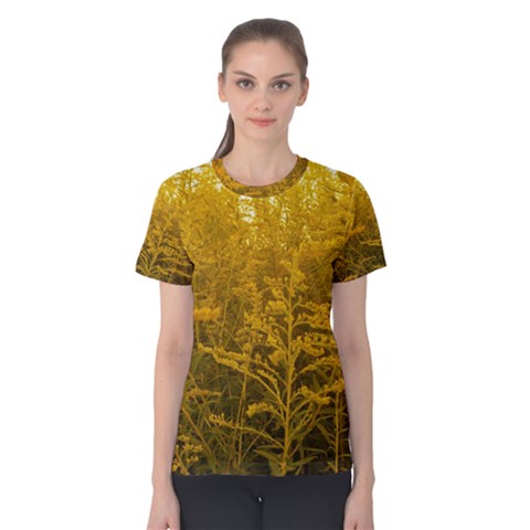 Gold Goldenrod Women s Cotton Tee by okhismakingart