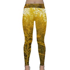 Gold Goldenrod Classic Yoga Leggings by okhismakingart