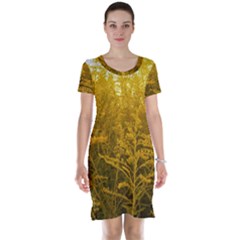 Gold Goldenrod Short Sleeve Nightdress by okhismakingart