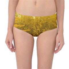 Gold Goldenrod Mid-waist Bikini Bottoms by okhismakingart