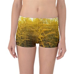 Gold Goldenrod Reversible Boyleg Bikini Bottoms by okhismakingart