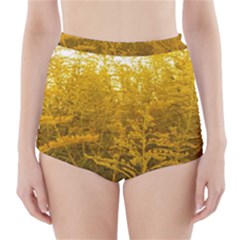 Gold Goldenrod High-waisted Bikini Bottoms by okhismakingart