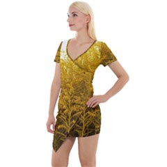 Gold Goldenrod Short Sleeve Asymmetric Mini Dress by okhismakingart