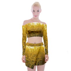 Gold Goldenrod Off Shoulder Top With Mini Skirt Set by okhismakingart