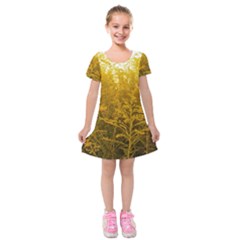 Gold Goldenrod Kids  Short Sleeve Velvet Dress by okhismakingart