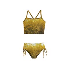 Gold Goldenrod Girls  Tankini Swimsuit by okhismakingart