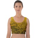 Gold Goldenrod Velvet Crop Top View1