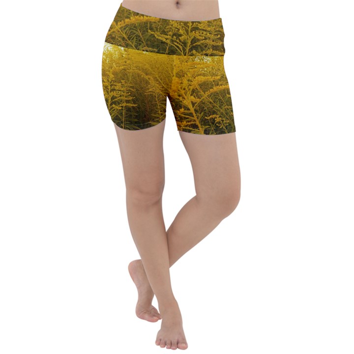 Gold Goldenrod Lightweight Velour Yoga Shorts