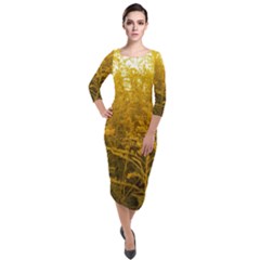 Gold Goldenrod Quarter Sleeve Midi Velour Bodycon Dress by okhismakingart