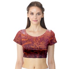 Red Goldenrod Short Sleeve Crop Top by okhismakingart