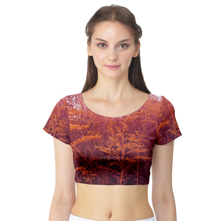 Red Goldenrod Short Sleeve Crop Top