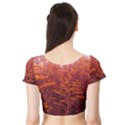 Red Goldenrod Short Sleeve Crop Top View2