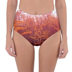 Red Goldenrod Reversible High-waist Bikini Bottoms by okhismakingart