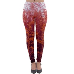 Red Goldenrod Lightweight Velour Leggings