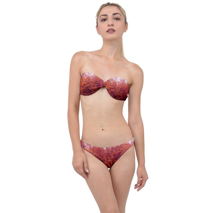 Red Goldenrod Classic Bandeau Bikini Set