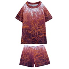 Red Goldenrod Kids  Swim Tee And Shorts Set