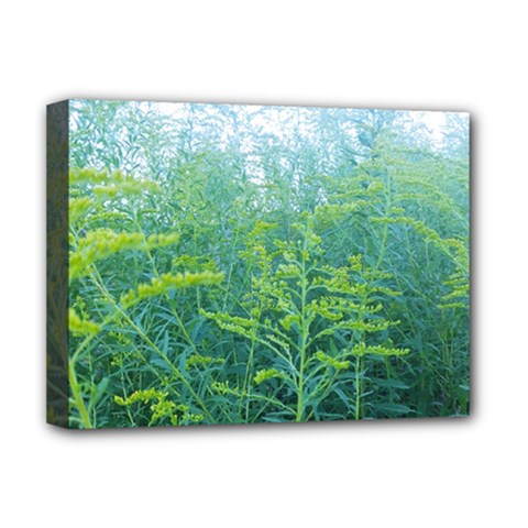 Turquoise Goldenrod Deluxe Canvas 16  X 12  (stretched)  by okhismakingart