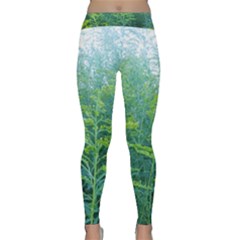 Turquoise Goldenrod Classic Yoga Leggings by okhismakingart