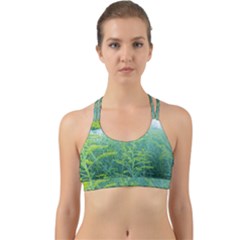 Turquoise Goldenrod Back Web Sports Bra by okhismakingart