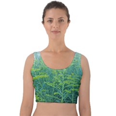 Turquoise Goldenrod Velvet Crop Top