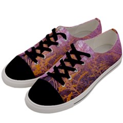 Pink Goldenrod Men s Low Top Canvas Sneakers by okhismakingart