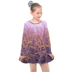 Pink Goldenrod Kids  Long Sleeve Dress