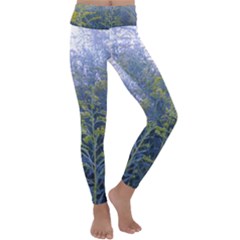 Blue Goldenrod Kids  Lightweight Velour Classic Yoga Leggings