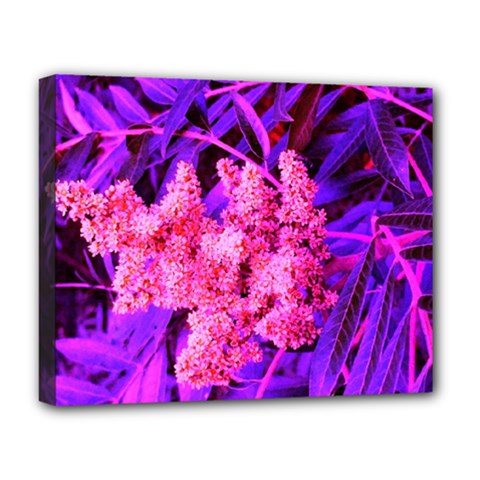 Pink And Blue Sideways Sumac Deluxe Canvas 20  X 16  (stretched) by okhismakingart