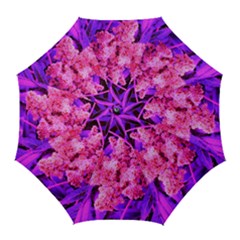 Pink And Blue Sideways Sumac Golf Umbrellas by okhismakingart